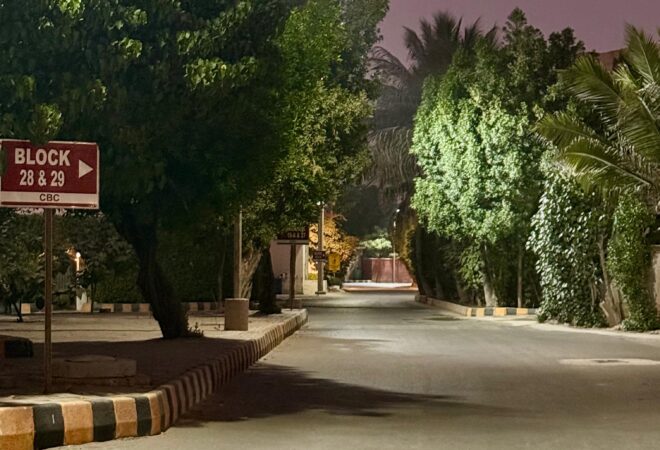 251d6da3-c1e3-4968-a447-d32d90675952