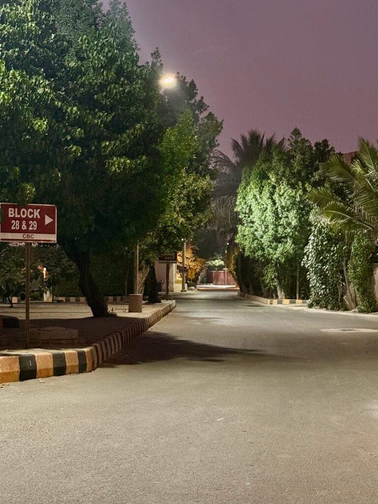 251d6da3-c1e3-4968-a447-d32d90675952