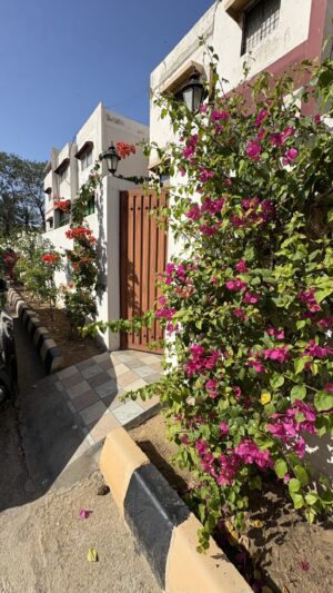 Walk to the Sea, Master Bedroom & Lawn